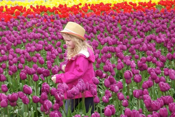 Skagit Valley Tulip Festival Day Tour from Seattle - Price and value: what you’re paying for (and what you’re not)