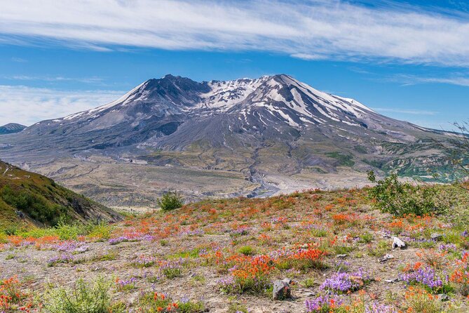 Small-group Mt. St. Helen National Park Tour from Seattle in SUV - Why This Seattle-to-Volcano Day Trip Feels Worth It