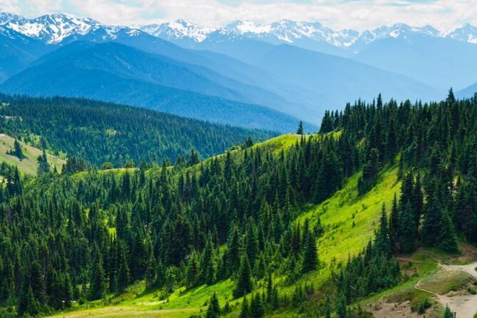 Small Group Olympic National Park Day Tour from Seattle 2CanGo - Key highlights at a glance