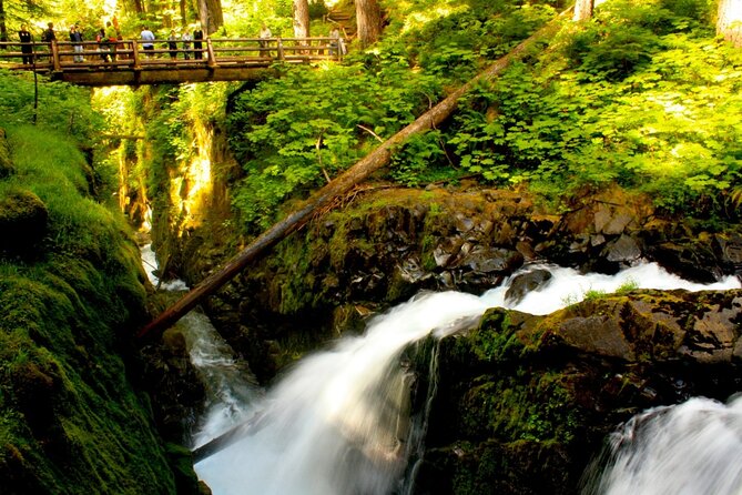 Small Group Olympic National Park Day Tour from Seattle 2CanGo - Lake Crescent: crystal-clear water and optional hikes around the lodge