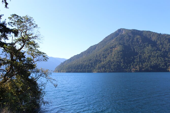Small Group Olympic National Park Day Tour from Seattle 2CanGo - Lunch and snacks: what’s included, and how to plan if you have needs