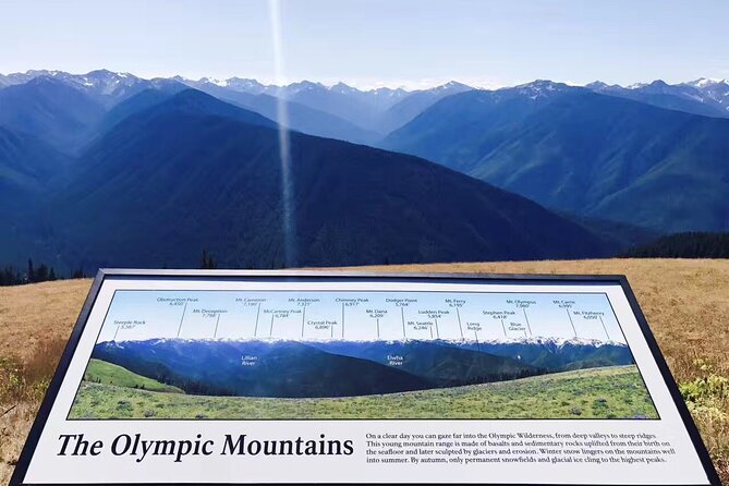 Small Group Olympic National Park Day Tour from Seattle 2CanGo - The Hurricane Ridge window: alpine views plus a real hike (or the swap)