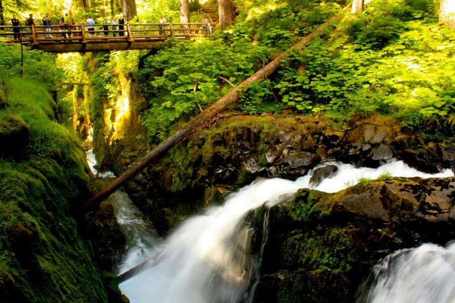 Small Group: Olympic National Park Day Tour From Seattle - Lake Crescent: glacier-carved color and an easy pace