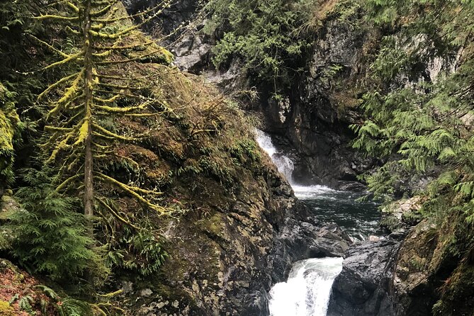 Snoqualmie falls and Twin Falls Hike - Is it good value at $75 per person?