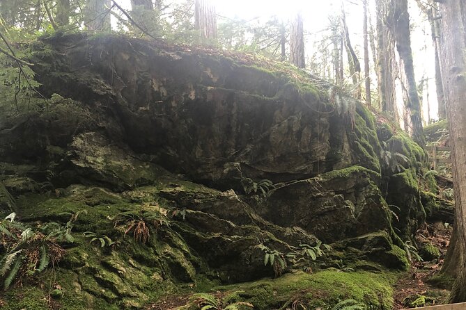 Snoqualmie falls and Twin Falls Hike - Twin Falls at Olallie State Park: guided start, solo time