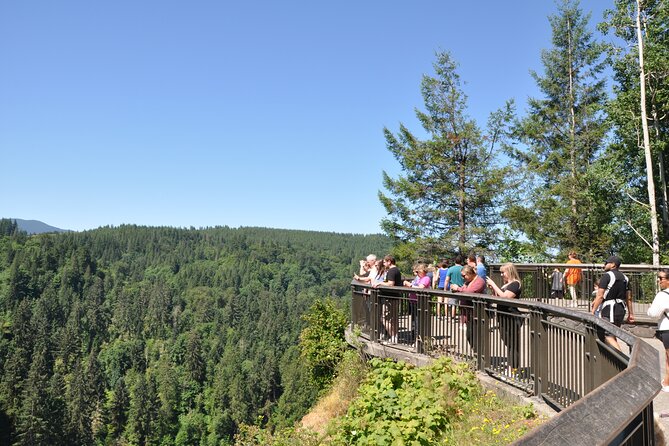 Snoqualmie Falls and Wineries Tour from Seattle - Woodinville winery time: lots of choices, one driver-guide