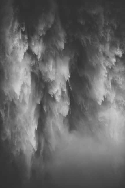 Snoqualmie, Twin Falls & Ancient Forest (Transport Included) - Ollalie State Park: A temperate rainforest walk with old-growth energy