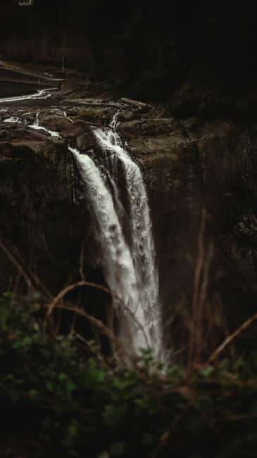 Snoqualmie, Twin Falls & Ancient Forest (Transport Included) - Value and timing: is $66 for waterfalls and forest hiking a fair deal?
