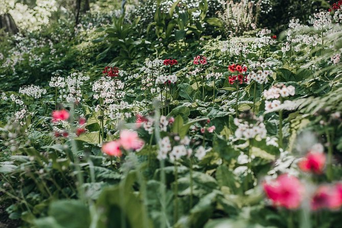 The Bloedel Reserve & Sightseeing - Price and what you’re really paying for at $299