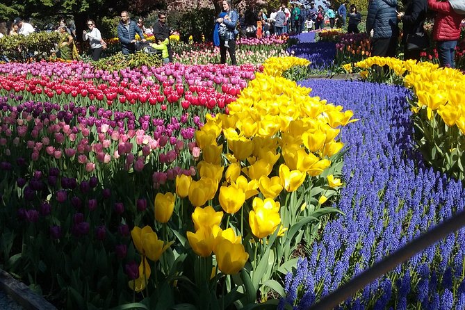Tulip Festival and Skagit Valley Tour - What this Skagit Valley tulip tour is really good for