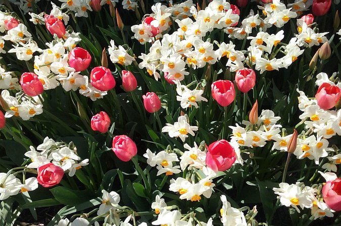 Tulip Festival and Skagit Valley Tour - La Conner for lunch: the part that turns a trip into a day out