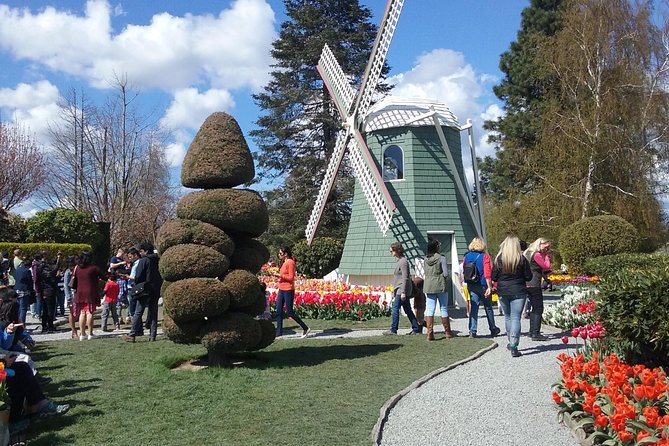 Tulip Festival and Skagit Valley Tour - Stop 1: Roozengaarde garden beds and a smooth photo start