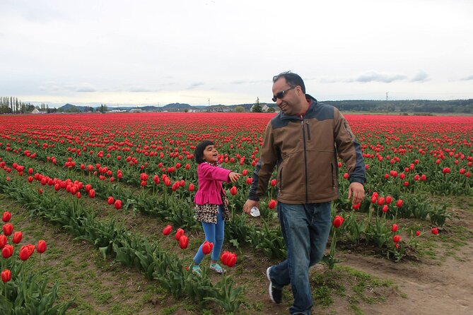 Tulip Festival at Skagit Valley ,La Conner and Deception Pass - Mount Vernon and Skagit Valley tulips: what you’ll actually see
