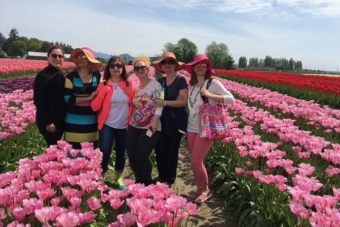 Tulip Festival in Skagit Valley Tour from Seattle - La Conner for 2 hours: a break from tulip pressure
