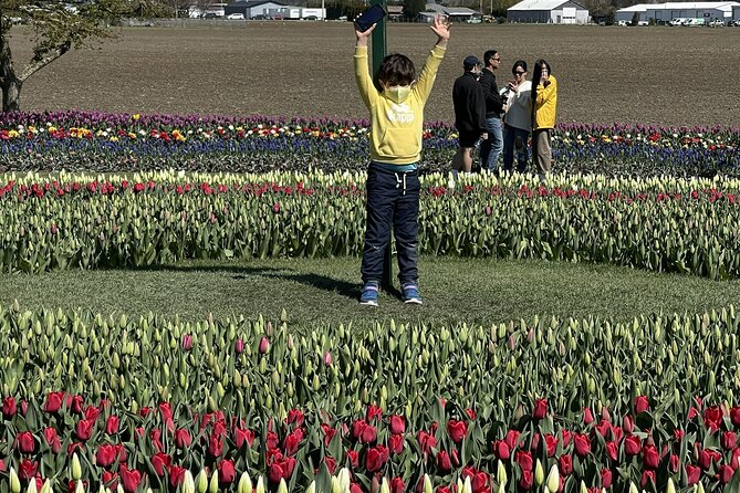 Tulip Festival in Skagit Valley Tour from Seattle - Snow geese time near Fir Island Farms: yes, it’s a hit-or-miss