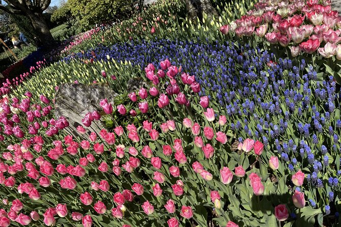 Tulip Festival in Skagit Valley Tour from Seattle - Price and value: what $145 covers (and what it doesn’t)