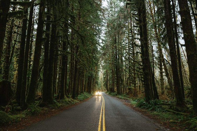 Twilight Forks Washington Tour - Guides and pacing: where your day can feel smooth or rushed