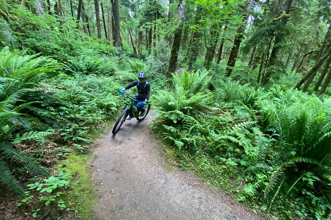 Viator Exclusive - Half Day Mountain Bike Tour from Seattle - Riding Snacks, Post-Ride Refreshments, and What You’ll Need to Eat