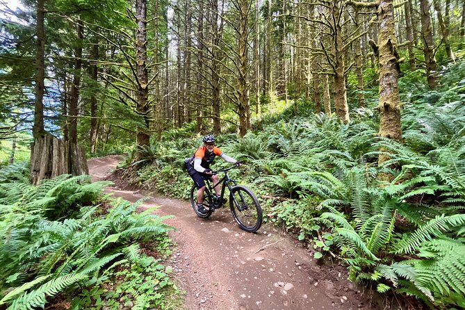Viator Exclusive - Half Day Mountain Bike Tour from Seattle - Price and Value: What $261.79 Buys in a 5-Hour Afternoon