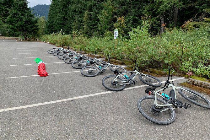 Viator Exclusive-Snoqualmie Tunnel MTN Bike Tour from Seattle - The Shuttle, Pickup Zone, and How to Plan Your Arrival
