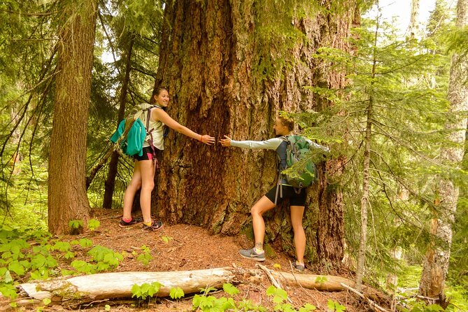Visit Snoqualmie waterfall and an old forest (Transport Included) - Key things I’d circle before you go
