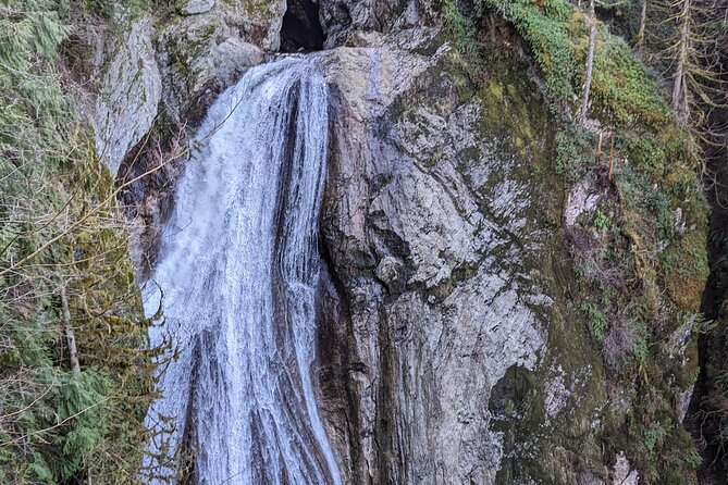 Visit Snoqualmie waterfall and an old forest (Transport Included) - Guides in the van and on the trail: pacing, photos, and local talk
