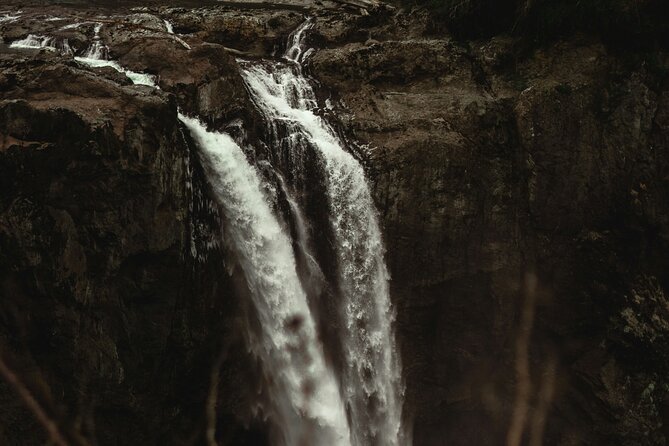 Visit Snoqualmie waterfall and an old forest (Transport Included) - Price and value: $70.52 for a done-for-you day out