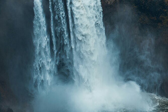 Visit Snoqualmie waterfall and an old forest (Transport Included) - What to bring (and what not to assume)