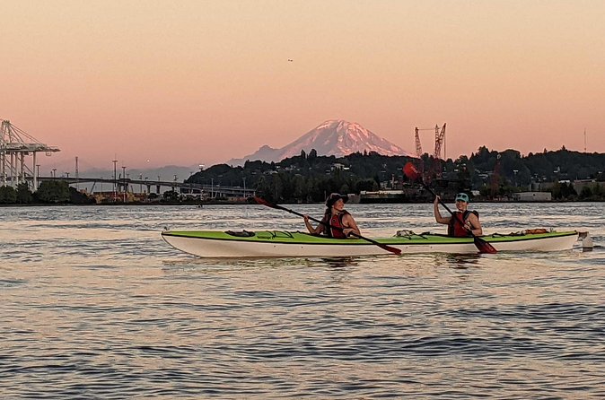 West Seattle Sunset Sea Kayak Tour - Wildlife Near the Duwamish River Area: Don’t Paddle on Autopilot