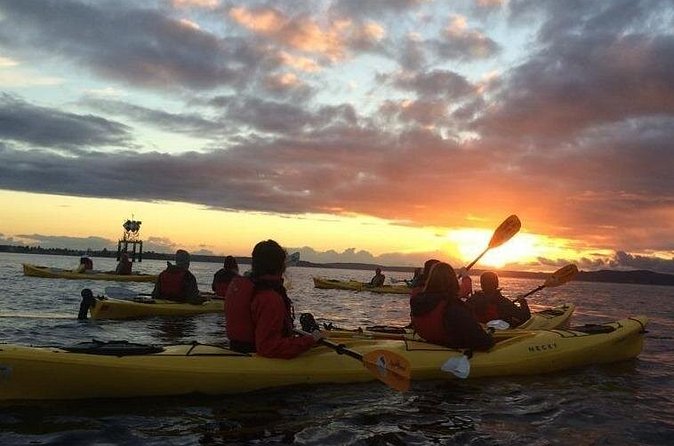 West Seattle Sunset Sea Kayak Tour - Small Group Kayaking (10 Travelers Max) and the Value of Space