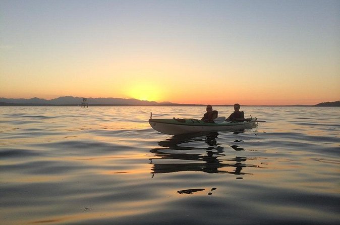 West Seattle Sunset Sea Kayak Tour - Price and Value: Is $139.99 Worth It?