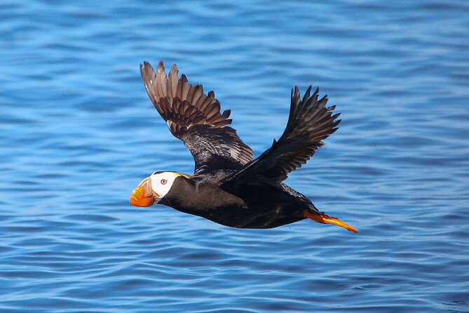 Whale Watching + Deception Pass Tour from Seattle - Comfort and snacks: how this itinerary keeps energy up