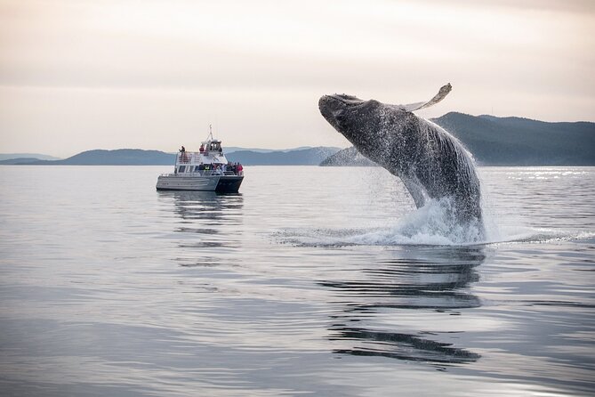 Whale Watching + Deception Pass Tour from Seattle - Getting to Anacortes: lunch-and-road rhythm before the boat time