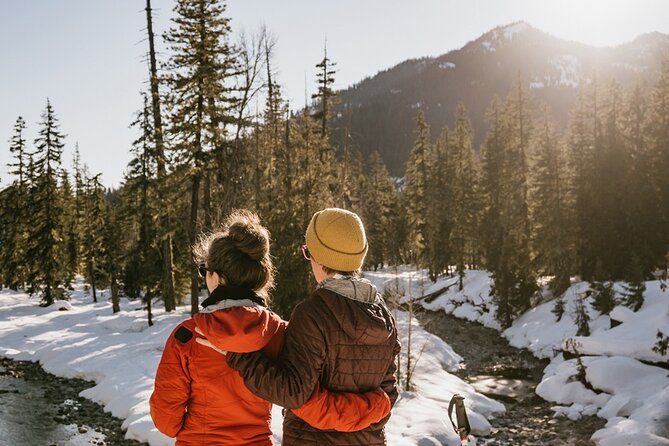 Winter Day Tour to Longmire on Mount Rainier from Seattle - How the Mount Rainier forest walk works (and why it’s worth your time)