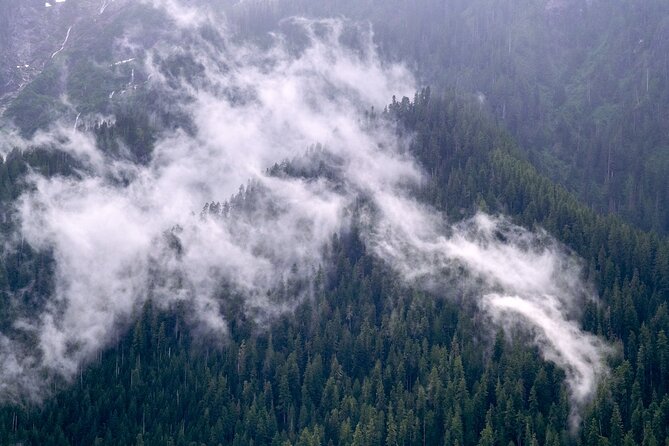 Winter Day Tour to Longmire on Mount Rainier from Seattle - Trail of the Shadows: a quick way to get oriented in the Longmire area