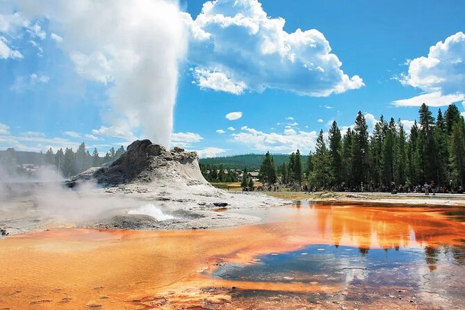 Yellowstone Grand Teton and Coeur d’Alene 5-Day Tour from Seattle - The Road Rhythm: Seattle Departures, Early Starts, and a Max-55 Group