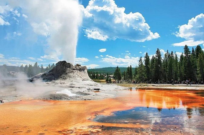 Yellowstone Grand Teton and Coeur d’Alene 5-Day Tour from Seattle - Price and Inclusions: What You’re Actually Paying For